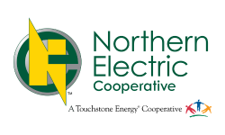 Northern Electric