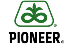 Pioneer