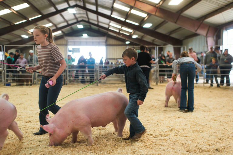 Compete Brown County Fair